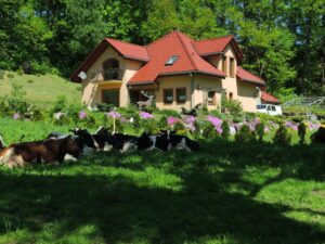 Czy taras wlicza się do powierzchni zabudowy