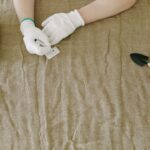 Jak stosować węgiel aktywny do roślin